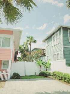 海滨彩色小屋与棕榈树