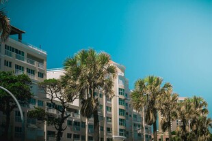 城市中林立的高楼与绿树