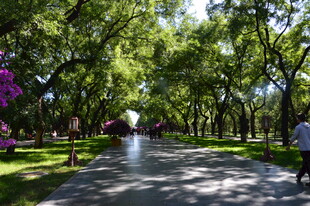 公园风景  