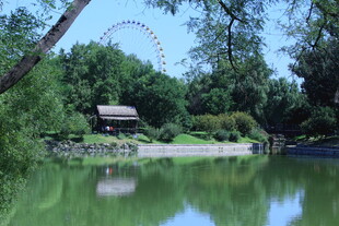 公园风景 