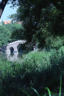 公园风景  