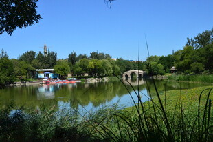 公园风景  