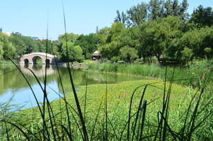 公园风景  