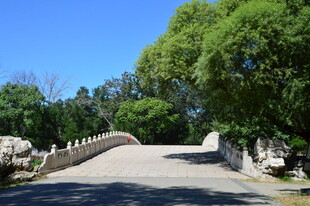 公园风景  