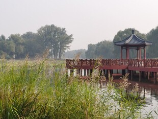 公园风景 