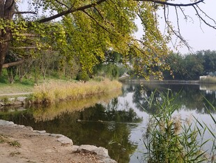 公园风景 