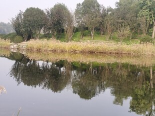 公园风景 