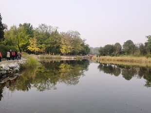 公园风景  