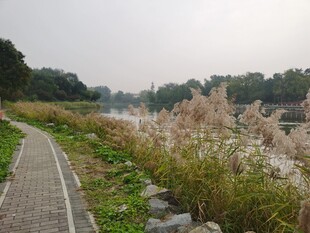公园风景 