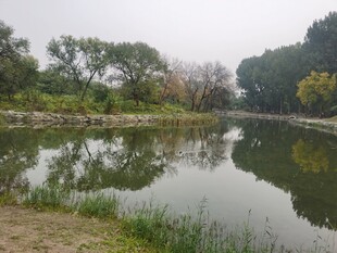公园风景  