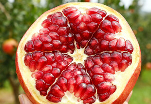 切开的红石榴
