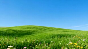 翠绿草原蓝天之下的美景