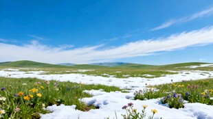雪覆草地的自然美景