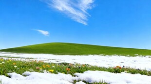 草原雪景清新自然风光