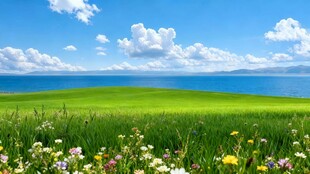 草原花海与蓝天湖泊美景