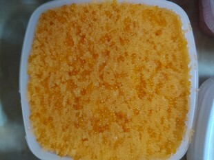 鱼籽