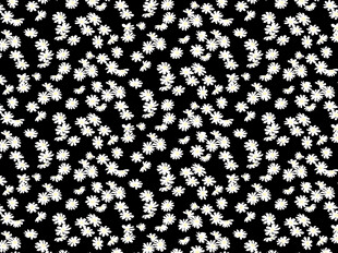 黑白小花图案背景
