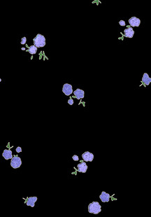 黑色背景上的紫色小花