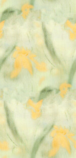 淡绿底黄色花朵图案