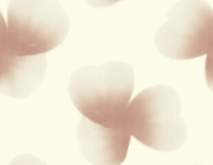 淡雅花瓣图案背景