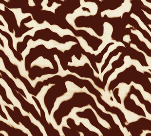 斑马纹图案纹理