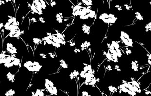 黑白花卉图案背景纹理