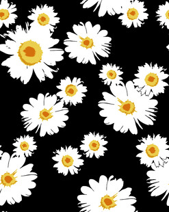 黑色背景上的白色雏菊图案