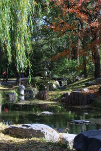 公园风景  