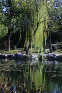 公园风景  