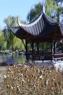 公园风景  