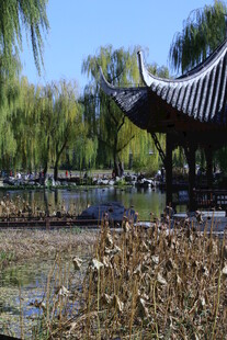 公园风景  