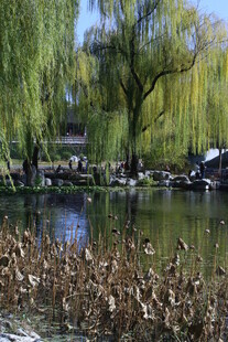 公园风景 