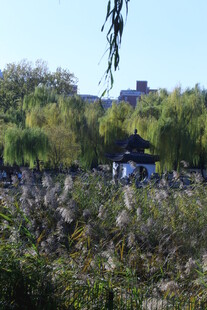公园风景  