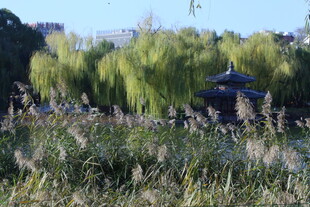 公园风景 
