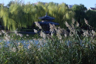 公园风景  