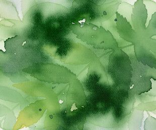 水彩绘就的清新绿叶画面