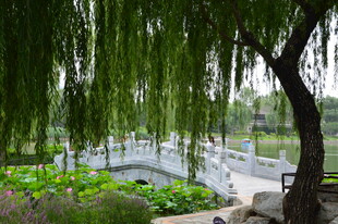 公园风景 