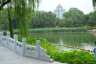 公园风景  