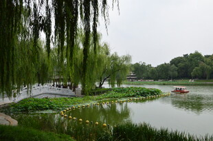 公园风景 