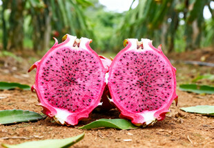 切开的红心火龙果