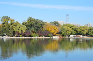 公园风景 