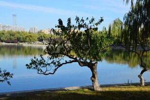 公园风景 