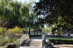公园风景  