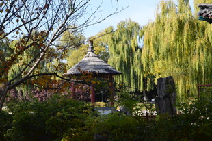 公园风景  