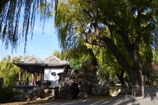 公园风景  