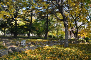 公园风景 