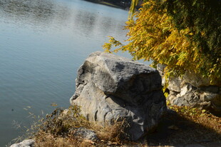 公园风景 