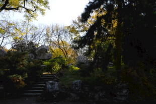 公园风景  