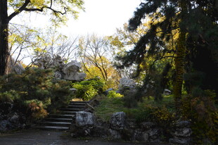 园林风景 
