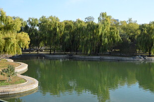 公园风景  